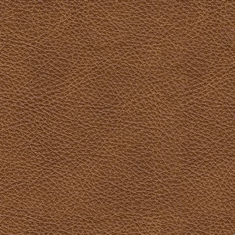Queen Sofa Sleeper - Caramel