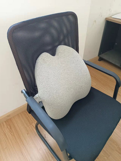 Lab Extra Dense Lumbar Pillow