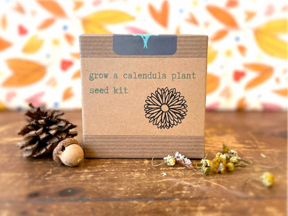 "Get Growing" Mindful Gardening Kit: Mindfulness Journal, Meditation Card + Growing Kit - Assorted (Winter Dreaming)
