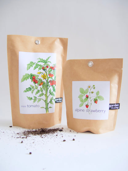 "Get Growing" Mindful Garden in a Bag Kit: Mindfulness Journal, Meditation Card + Growing Kit - (Assorted Year-Round)
