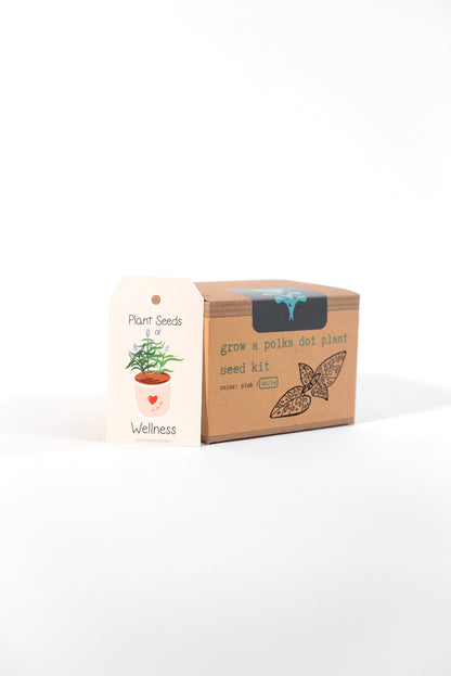 "Growing Joy" Trio Gift Set: Polka-Dot Plant Kit, Mindfulness Journal, "Jasmine Green" Tea, Honey, Greeting Card (Grow & Bloom)
